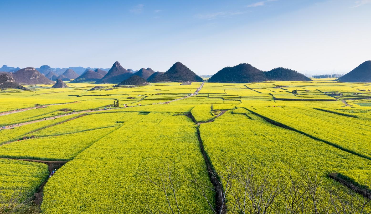 乡村旅游开发怎么做？这五个维度不可忽视(图1)