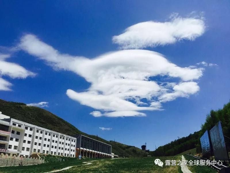 成长部落—向“贝尔”一样拥抱大自然(图18) 成长部落—向“贝尔”一样拥抱大自然(图18)