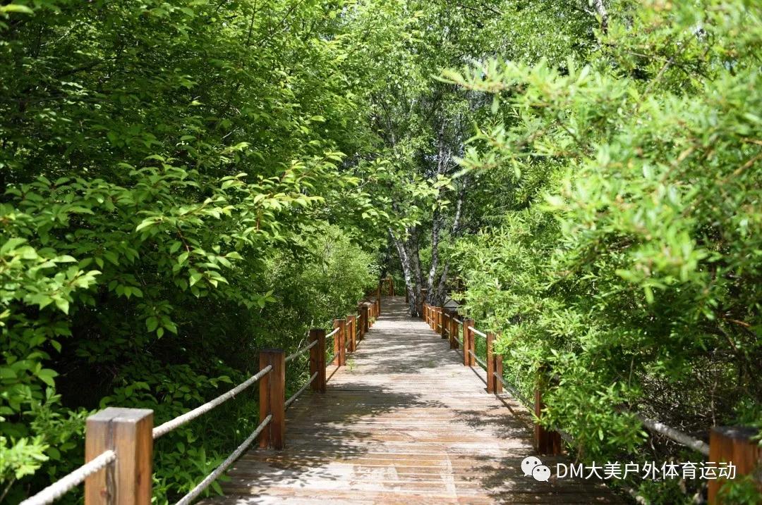 流浪云端·星空露营(图14) 流浪云端·星空露营(图14)