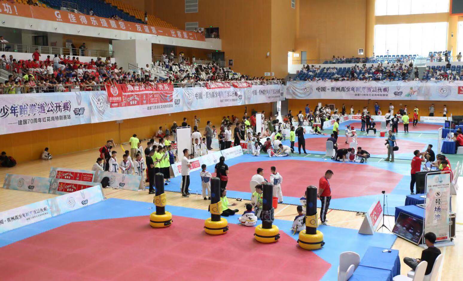 跆拳小将约战红花岗 220场比赛展开激烈角逐(图1) 跆拳小将约战红花岗 220场比赛展开激烈角逐(图1)