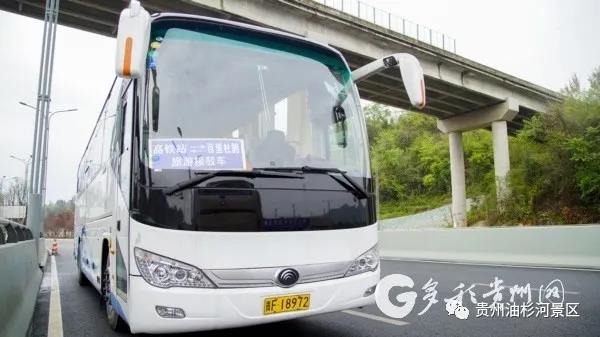 百里杜鹃和油杉河景区旅游接驳车正式开通(图1)