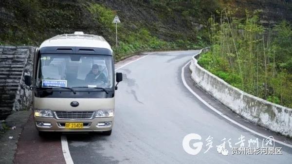 百里杜鹃和油杉河景区旅游接驳车正式开通(图2)
