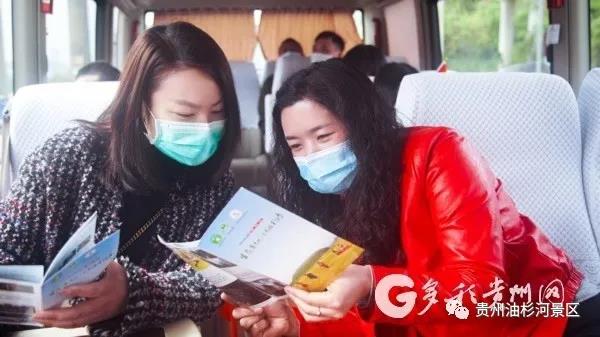 百里杜鹃和油杉河景区旅游接驳车正式开通(图3)