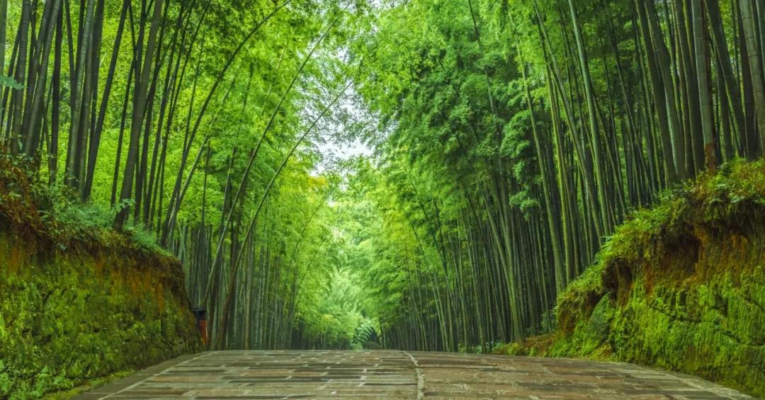 2020年康养产业迎来黄金时代，近十万亿市场亟待挖掘(图8)