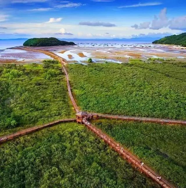 有趣的海岛 | 时光沉淀下的海陵岛28年,造就一座腾飞的岛屿(图15) 有趣的海岛 | 时光沉淀下的海陵岛28年,造就一座腾飞的岛屿(图15)