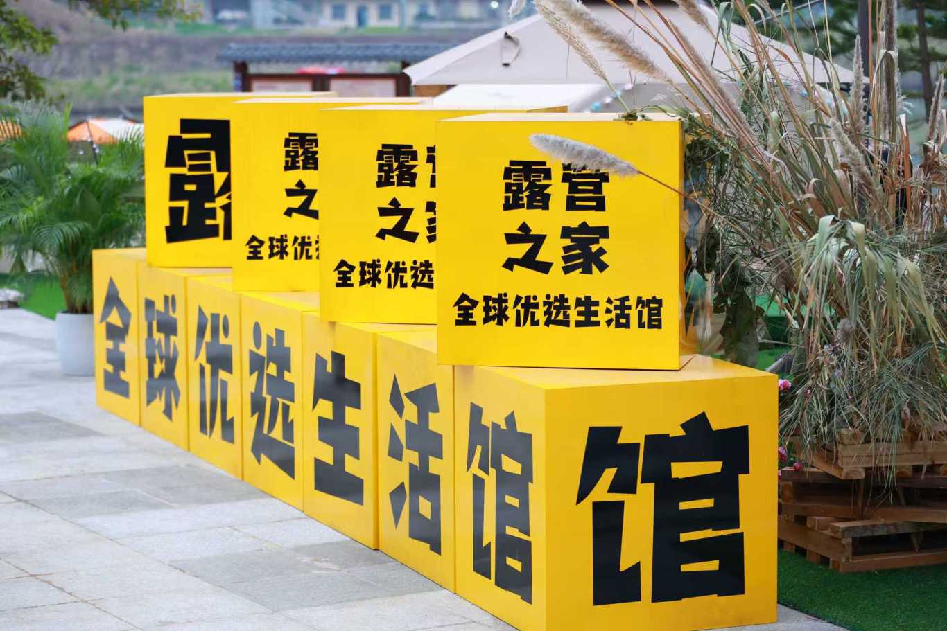 粤桂滇黔露营产业文化交流沙龙在中国·东兰坡豪湖露营地胜利召开(图42)