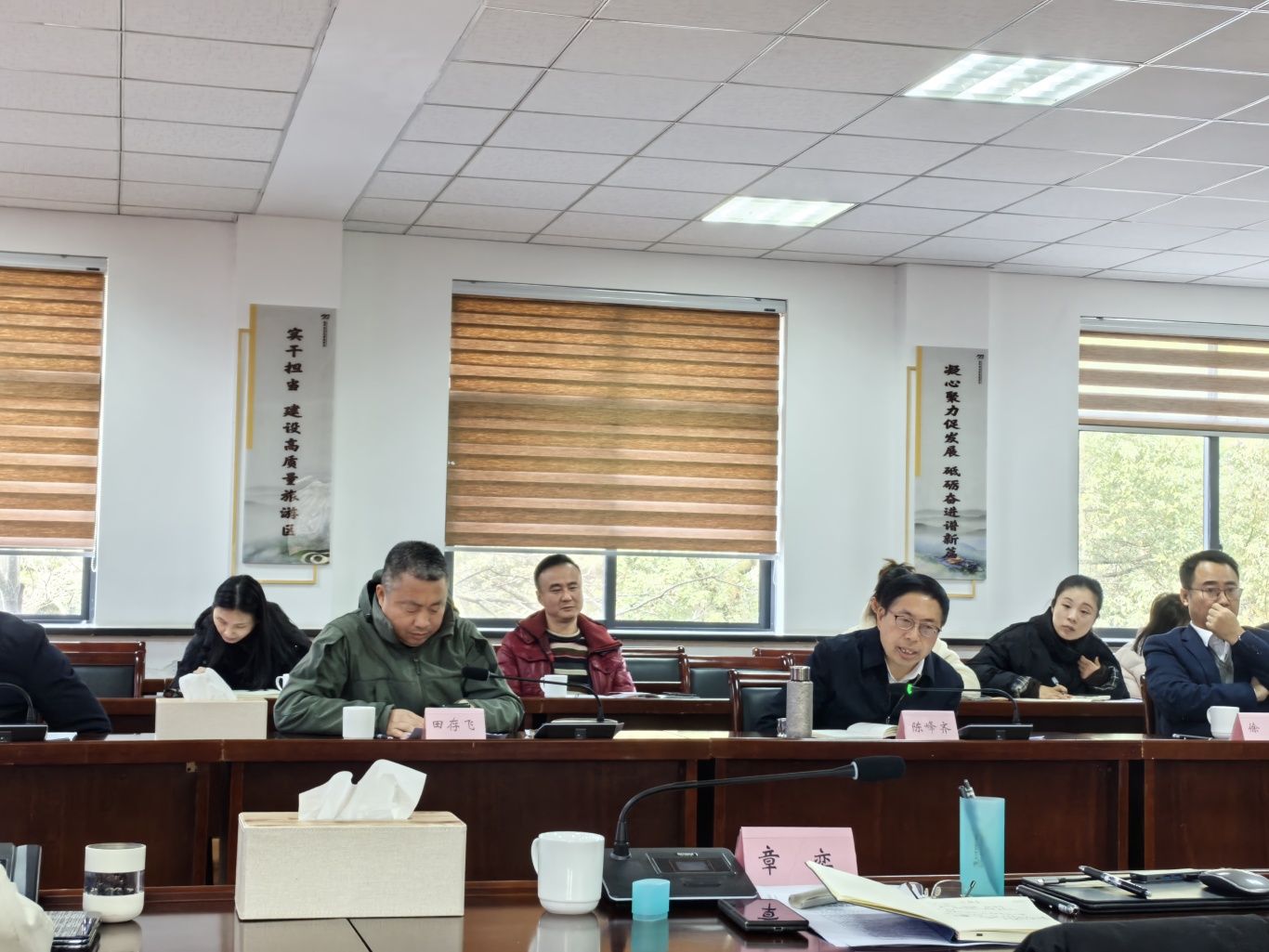 陈书记发言.jpg