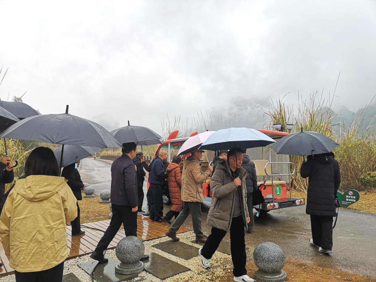东兰县退休老干部考察调研坡豪湖露营地:见证生态与产业融合新篇章(图8) 东兰县退休老干部考察调研坡豪湖露营地:见证生态与产业融合新篇章(图8)