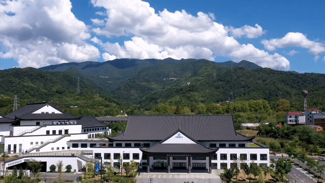 “露营经济”成为体育产业最具韧性和想象力的“超级物种”(图1)