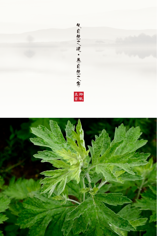 【潞风灸舍】为2025潞城半程马拉松赛的运动健康服务，为跑友们加油！(图7)