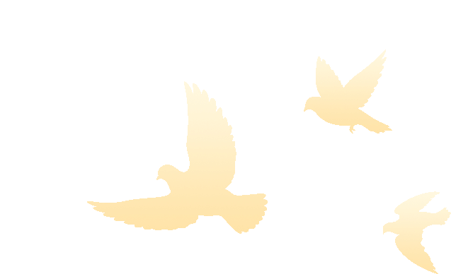 广西旅发大会向东部区发出邀请，东西部携手在百色山水间奔赴户外经济新征程(图8)