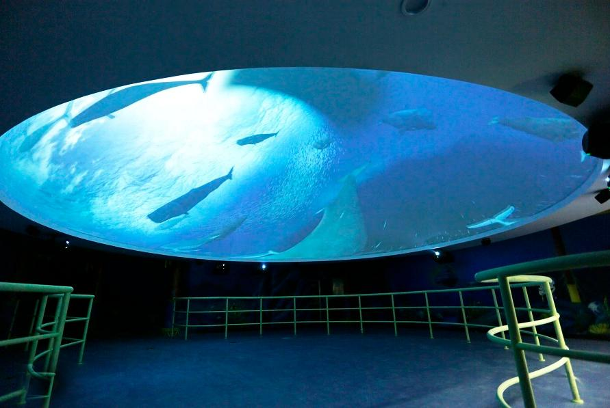 剧透来袭!2025广西百色户外装备展潮流单品抢先看!(图4) 3.png