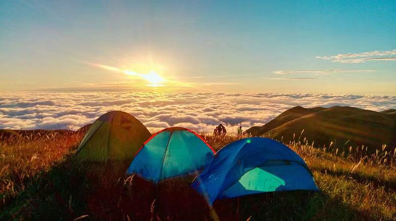 用“大露营”新生态观构建和美乡村共富之路(二)(图8) 用“大露营”新生态观构建和美乡村共富之路(二)(图8)