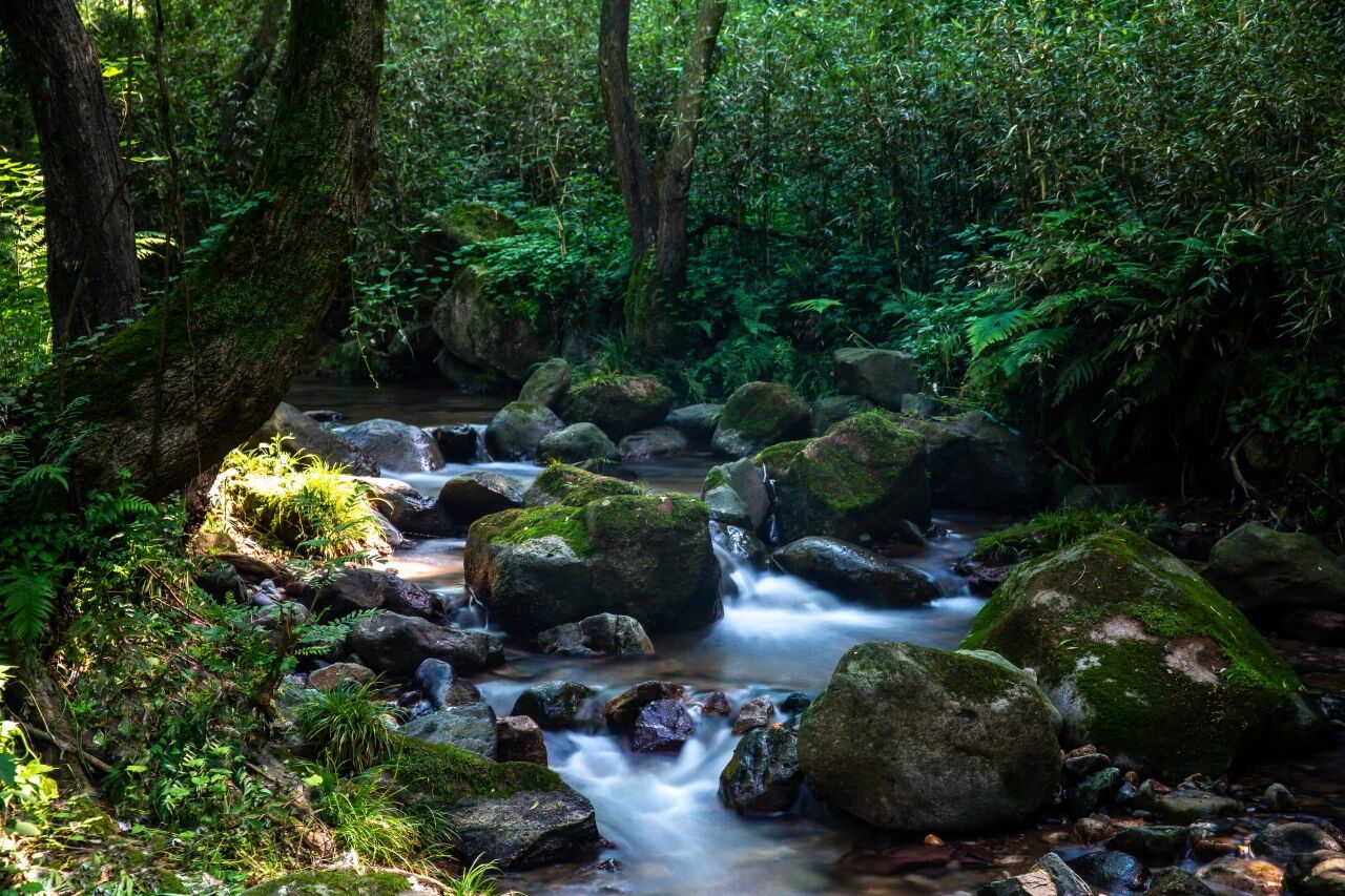 undefined “逐梦金华”女子越野赛在金华山浪漫开跑(图6)