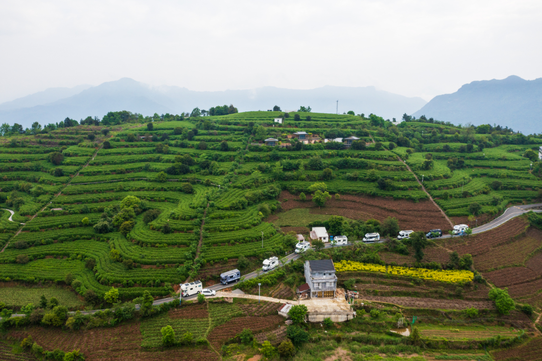 2026中国（金华山）国际露营大会房车集结赛，九龙茶境“趣野”捞风露营地“打卡点之一”公布(图2)