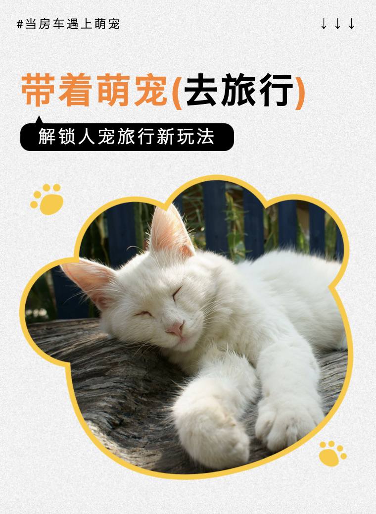 房车邂逅萌宠山野同行 平和乡解锁乡村露营文旅新赛道(图1) 1.png