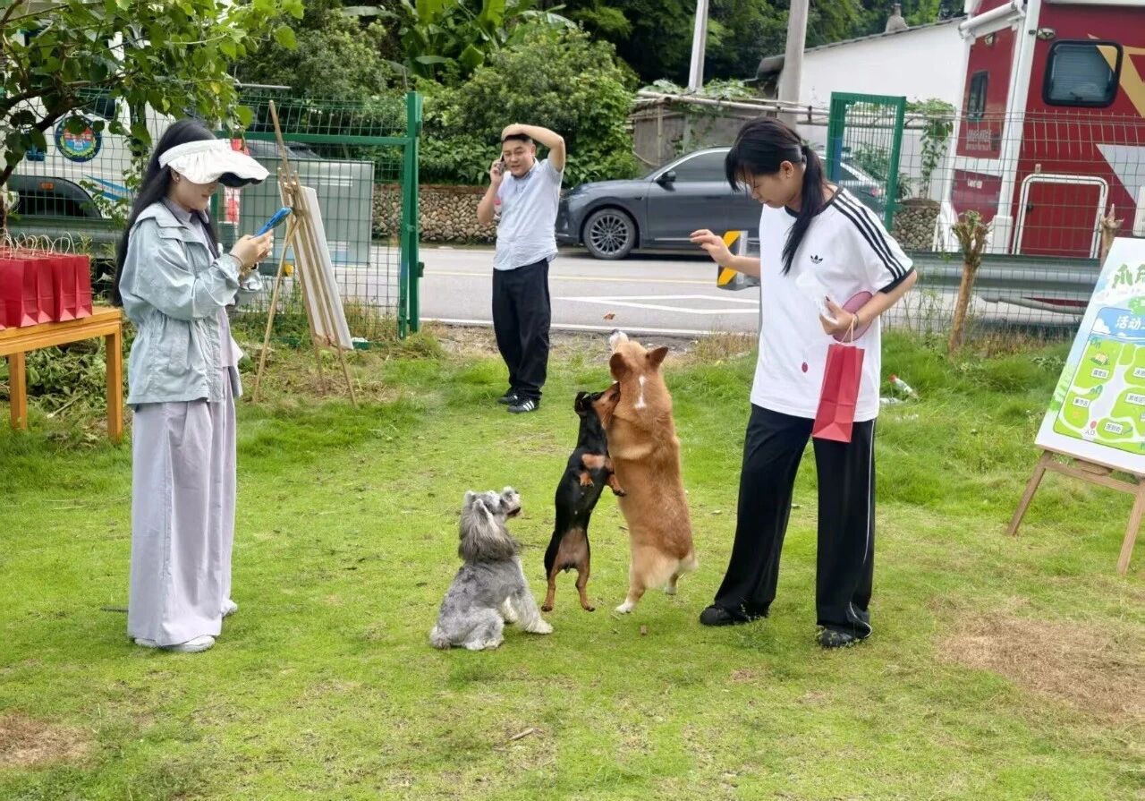 房车邂逅萌宠山野同行 平和乡解锁乡村露营文旅新赛道(图4) 4.jpg