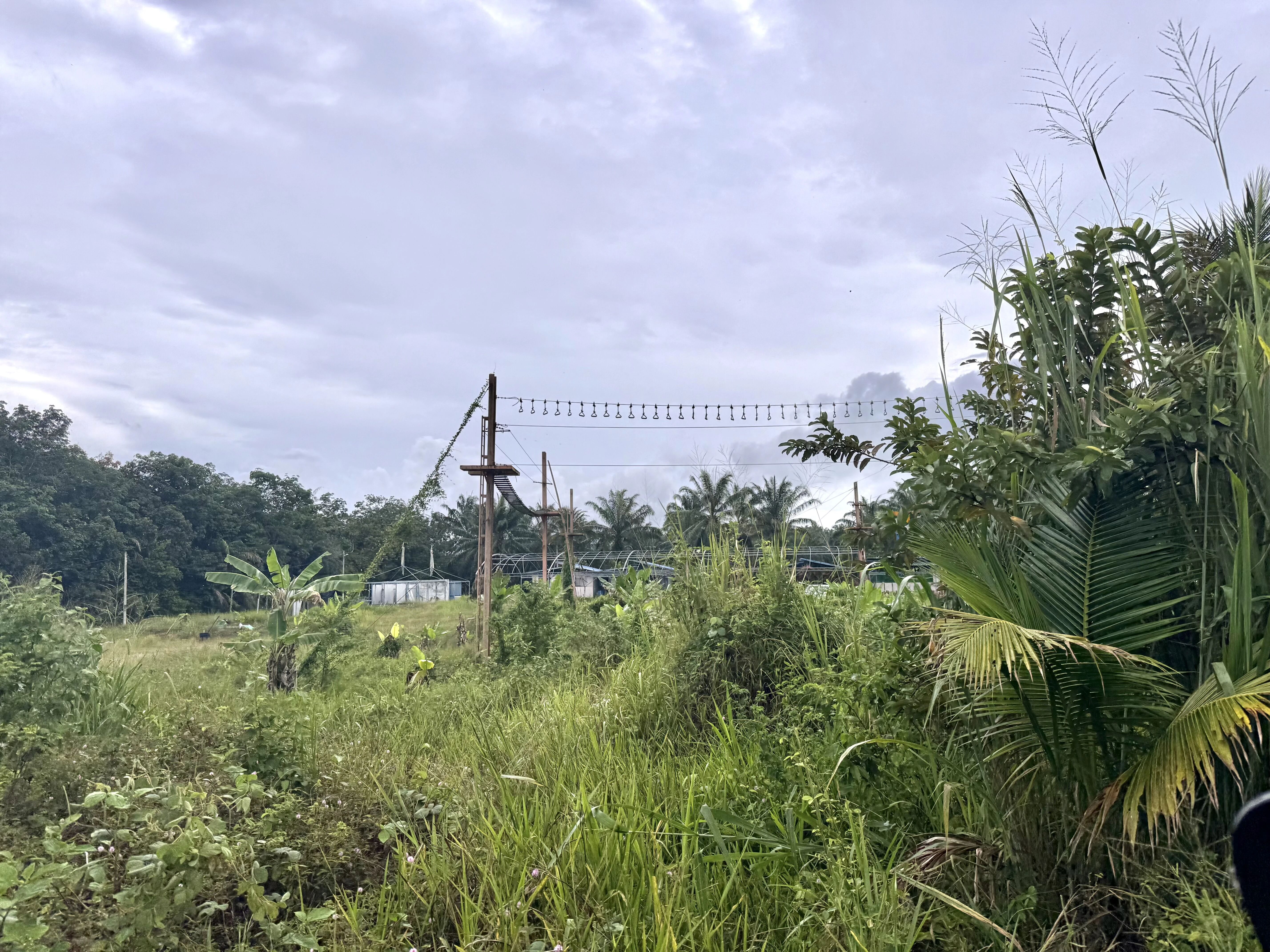 【中马国际交流】深耕马来西亚多元业态 探访维多利亚生态园、Fajar Eco Park、Bentong片区等地(图1) 22.jpg